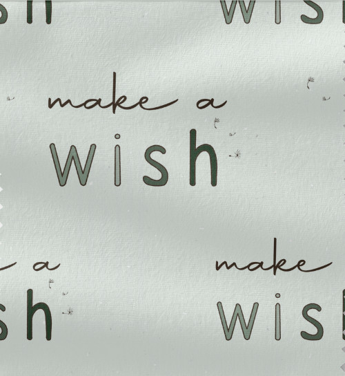 Make a wish